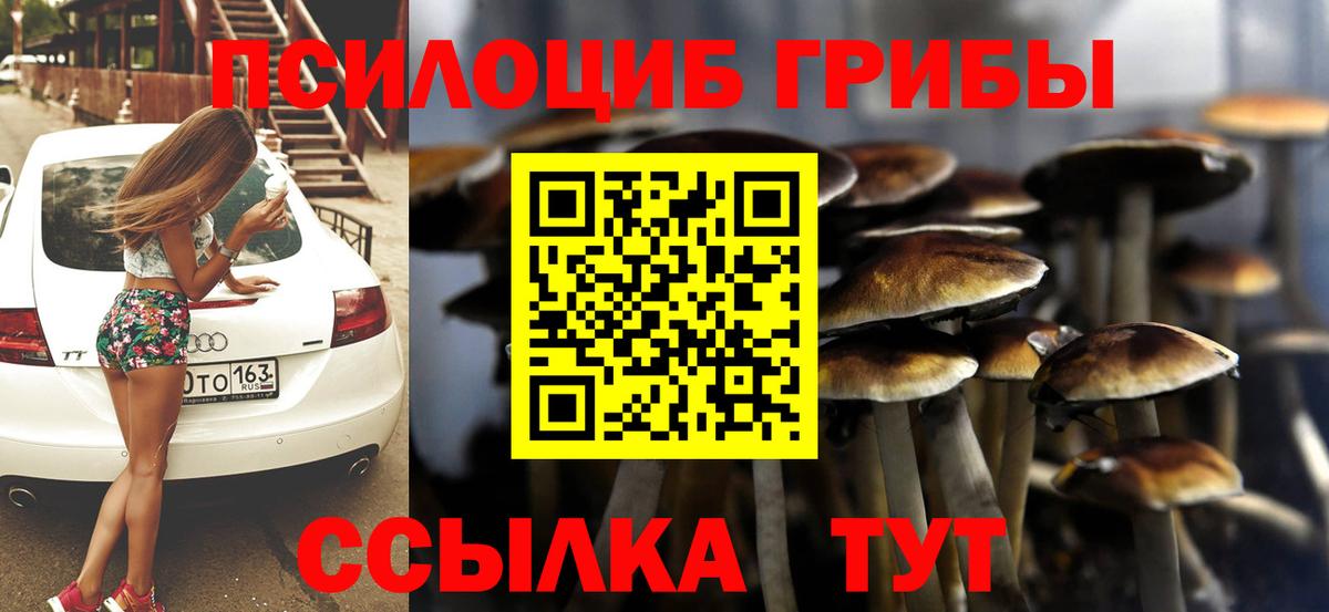 Псилоцибиновые грибы Psilocybine cubensis  где можно купить наркотик  Трёхгорный  Вход с VPN 