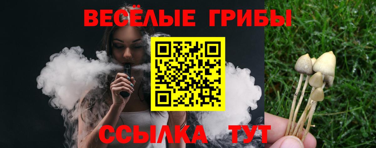 Псилоцибиновые грибы Psilocybine cubensis Трёхгорный